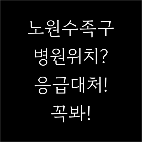 노원구 수족구 병원 위치와 응급 상황..