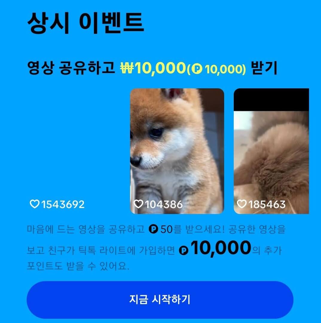틱톡라이트
