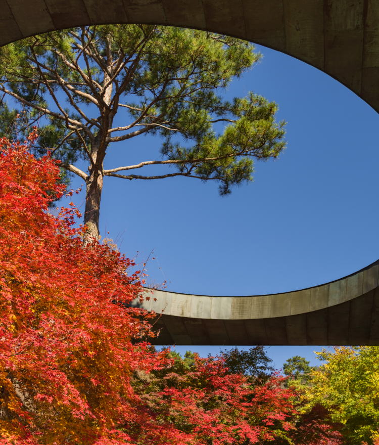 화담숲 모노레일 예약 : 곤지암 단풍명소 가이드