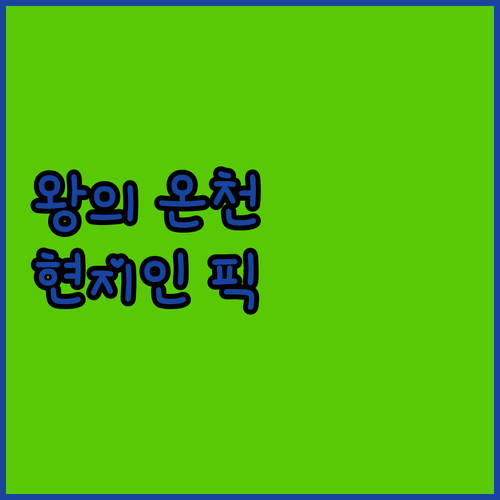 왕의 온천 수안보 숙소 추천 파크호텔..