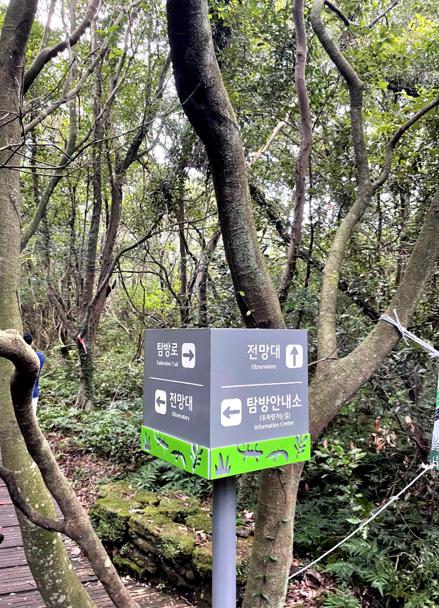 제주 곶자왈 도립공원