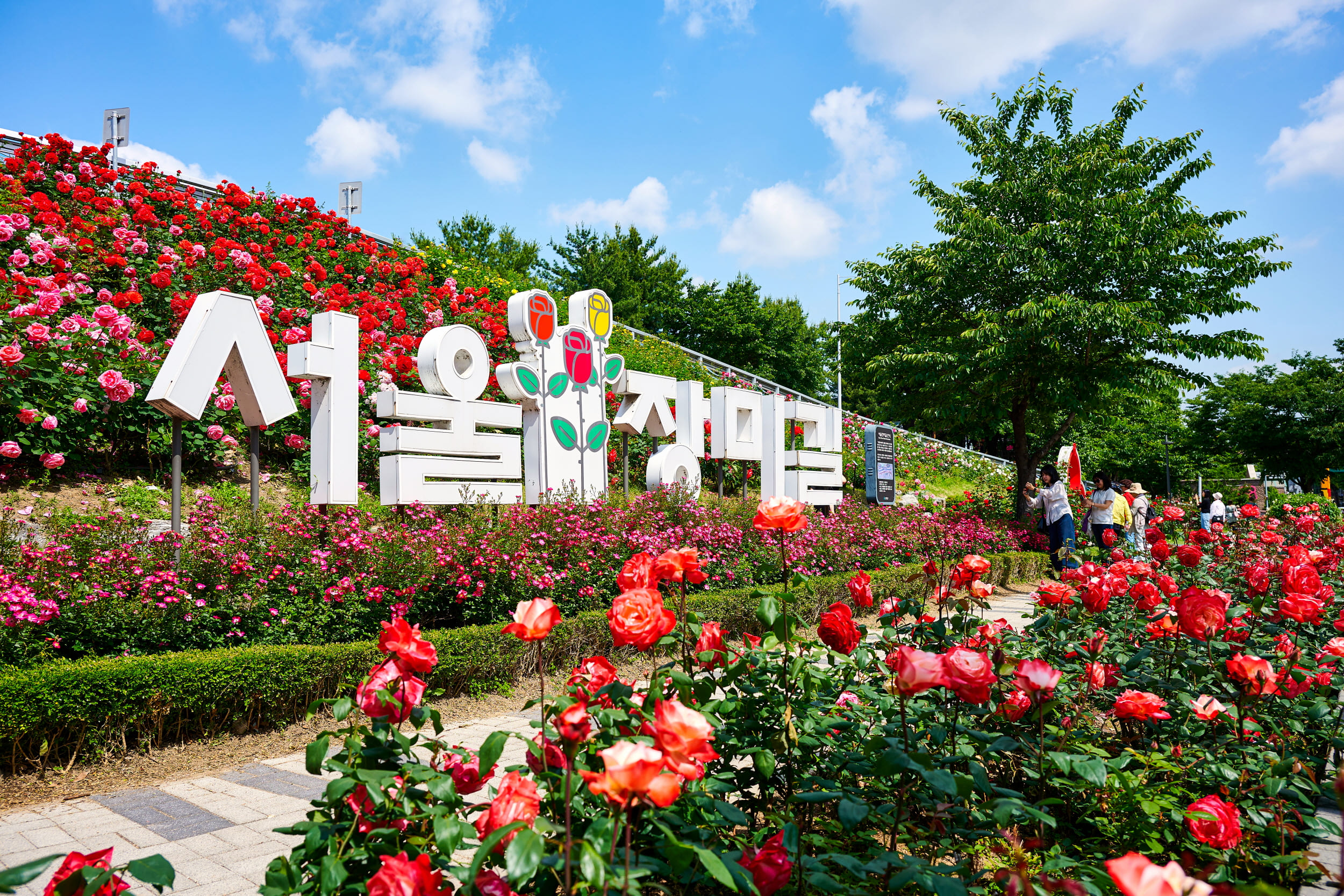 중랑 서울장미축제