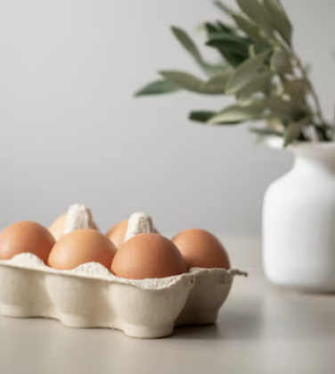 대장내시경 전 음식주의사항 24