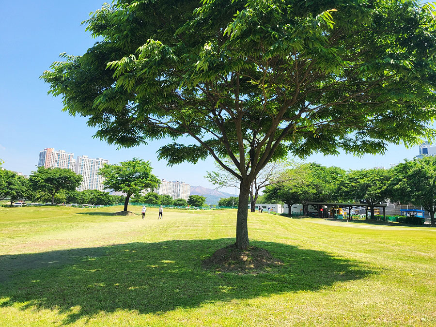 경상남도 밀양시 밀양파크골프장 소개