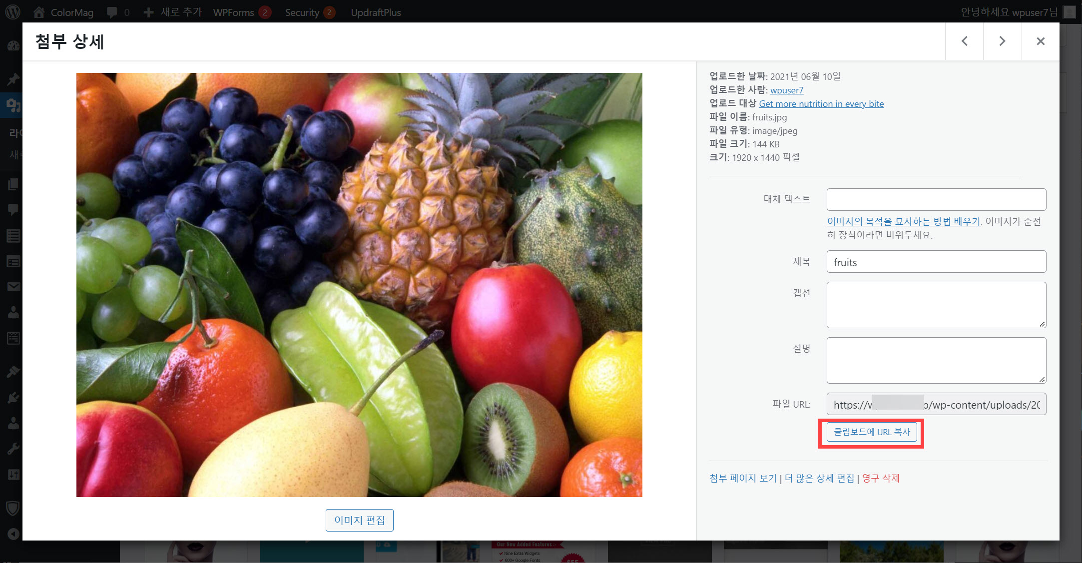 워드프레스 이미지 URL 확인 복사하기