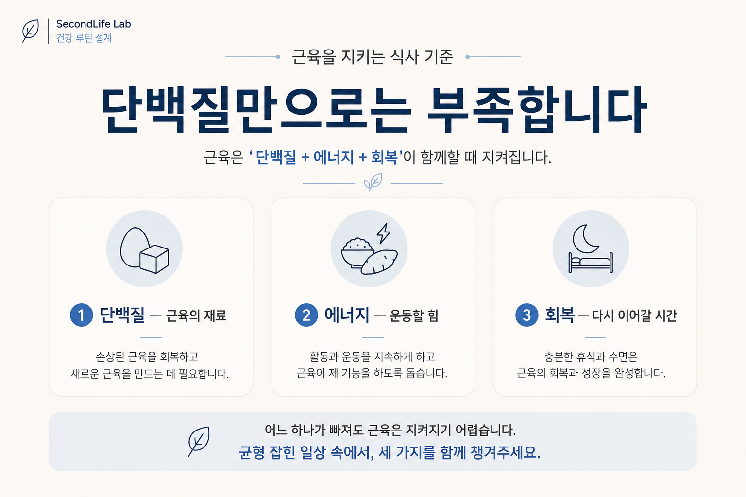 근육을 지키는 식사 기준으로 단백질, 에너지, 회복을 함께 정리한 정보 이미지