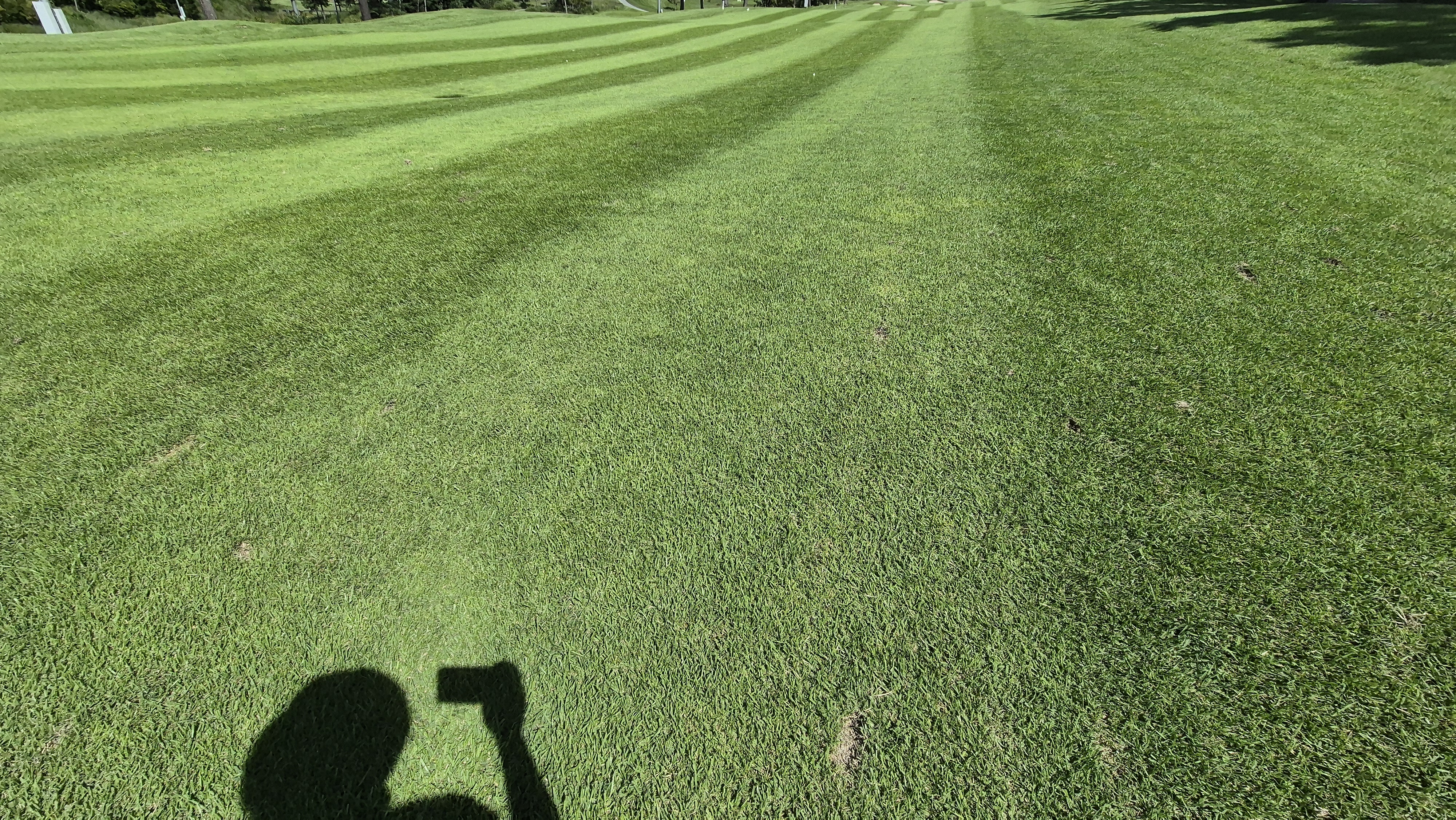 오크힐스cc 코스관리 상태