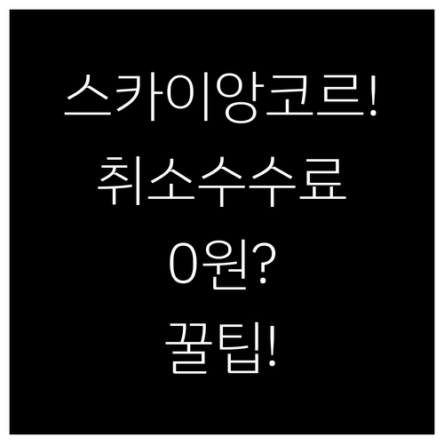 스카이 앙코르 항공 취소 수수료 피하..
