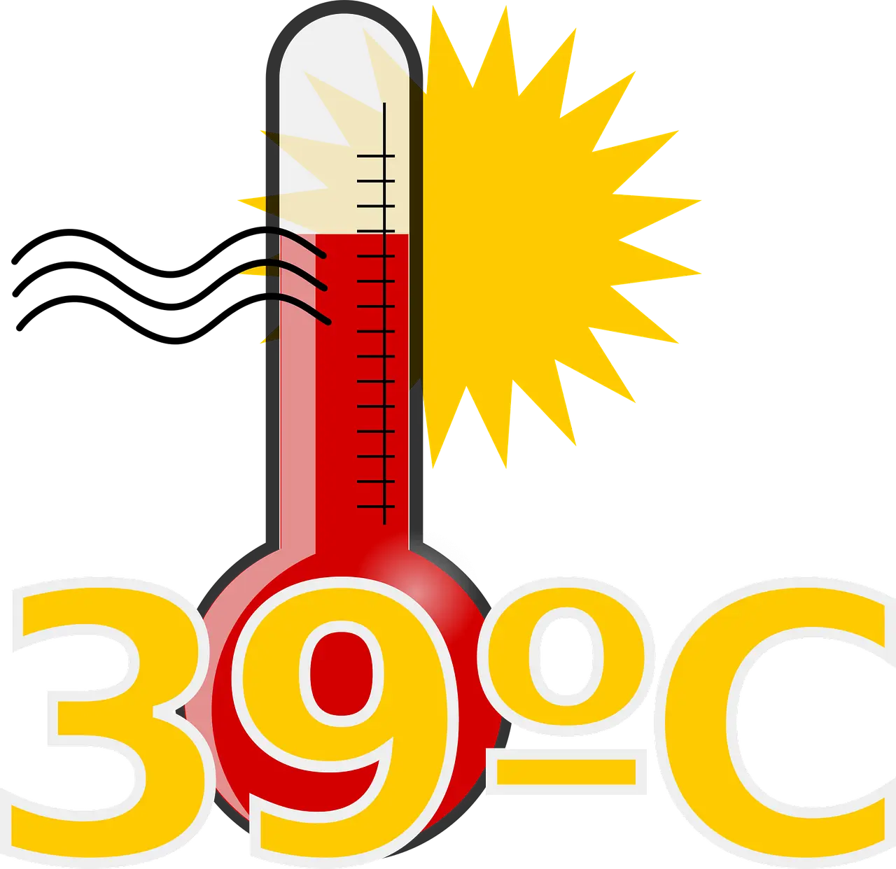 39도 고온의 체온