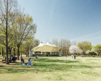 서울숲 공원 주차장14