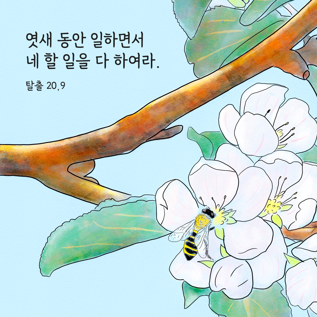 엿새 동안 일하면서 네 할 일을 다 하여라. (탈출 20&#44;9) 탈출기 성경 말씀 카드 이미지
