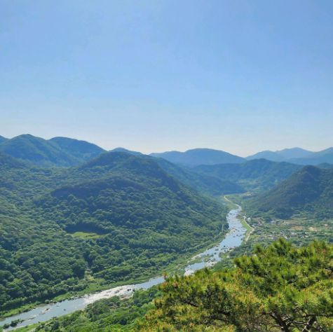 용궐산치유의숲