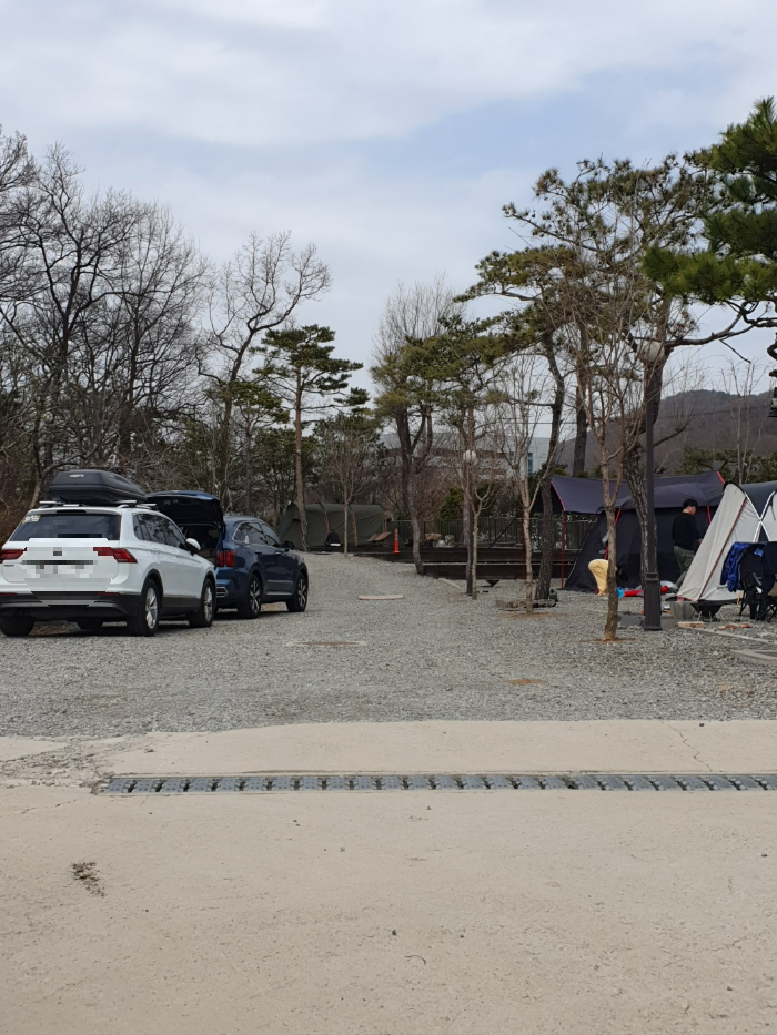 솔잎향캠핑장