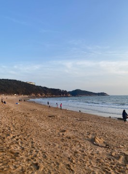 서울인천 근교 추천 해수욕장 관련 사진