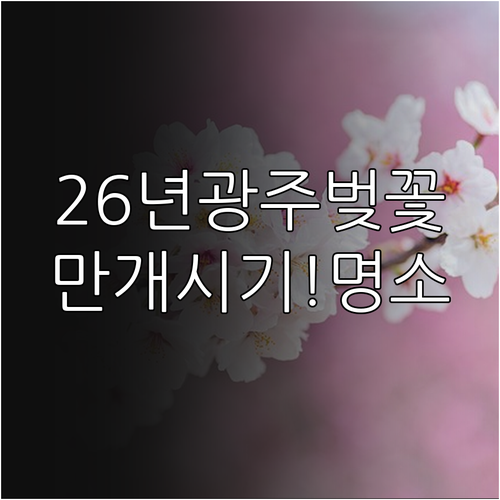 2026년 광주 지역 벚꽃 만개 시기..