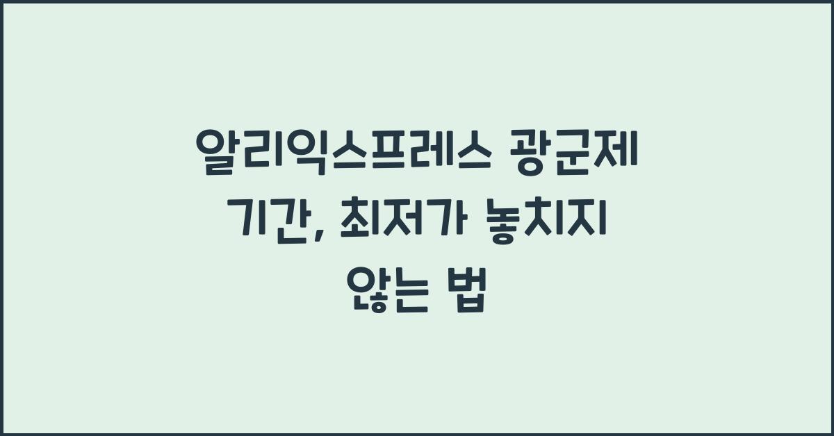 알리익스프레스 광군제 기간