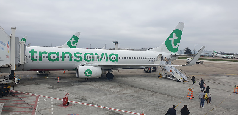 transavia 항공
