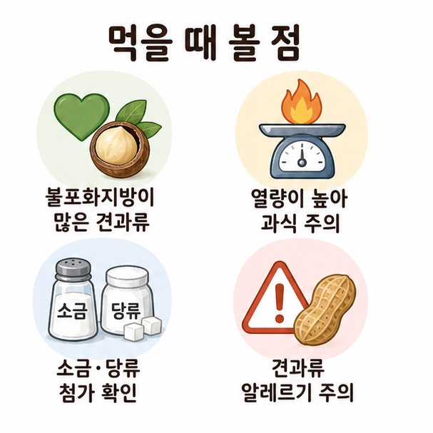 마카다미아는 불포화지방이 많은 견과류이며 열량이 높아 과식에 주의하고 첨가물과 견과류 알레르기를 확인해야 한다는 설명 이미지