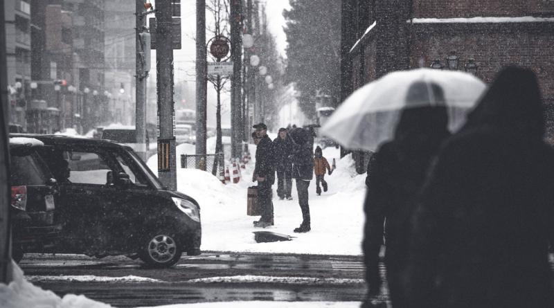 해외여행중렌터카