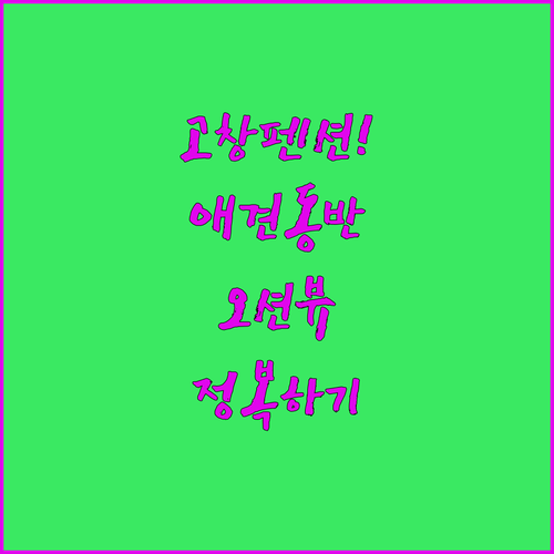 고창 애견동반 펜션부터 오션뷰 숙소까..