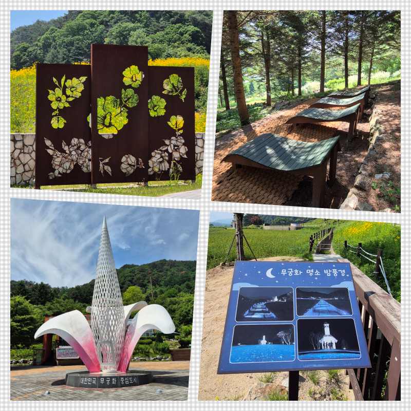 홍천 무궁화수목원 풍경