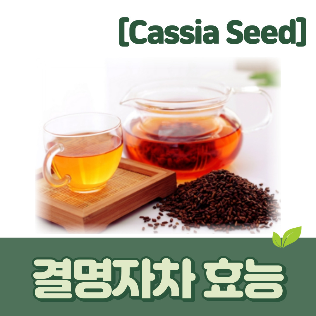 결명자