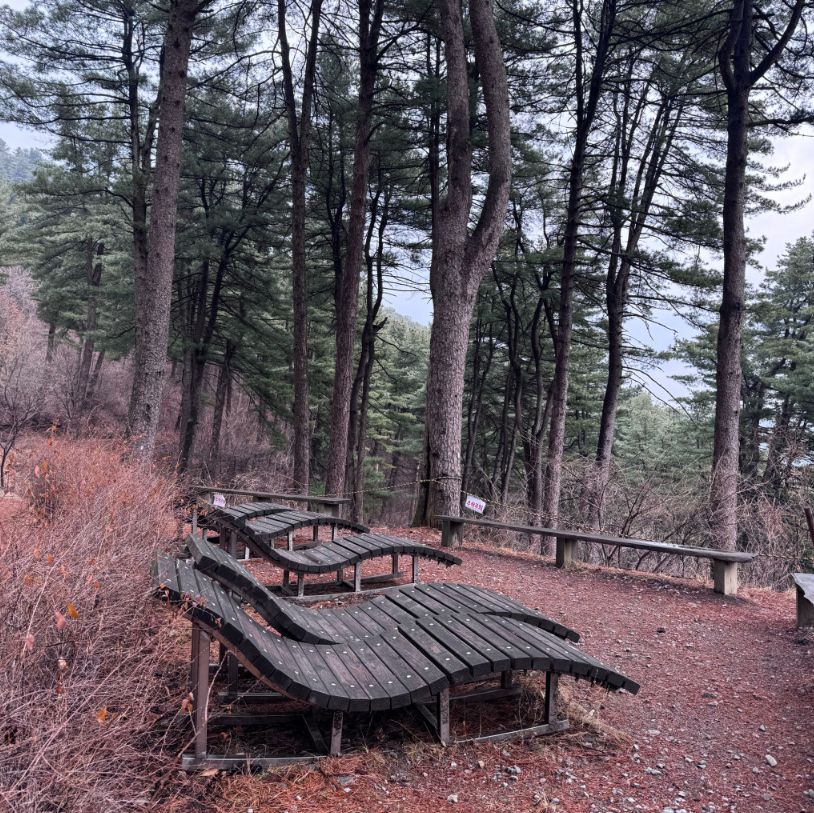 축령산자연휴양림