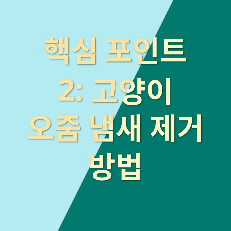 소파 청소_2