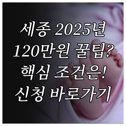 세종시 2025년 출산축하금 120만..