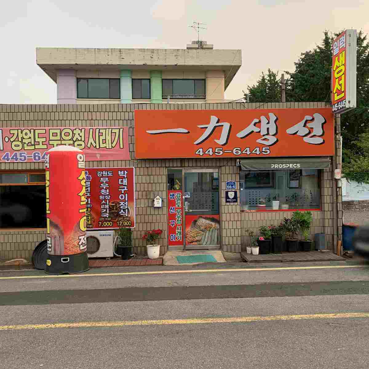 일력생선