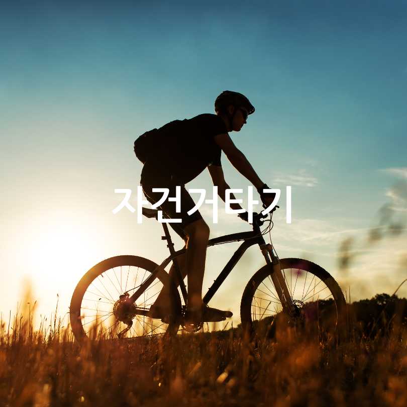 체중감량운동