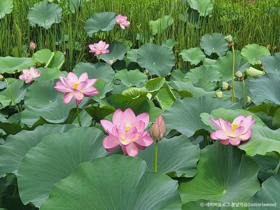 진주 가볼만한곳 베스트10