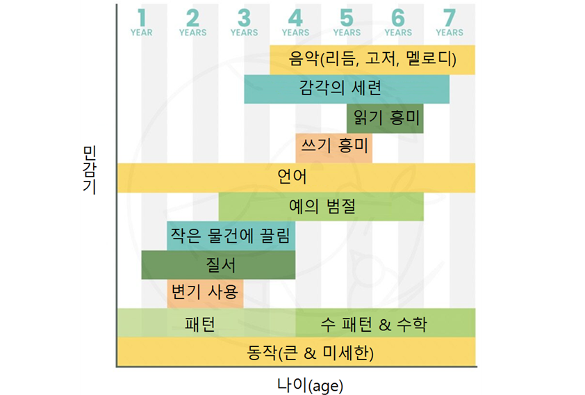 사회성 치료