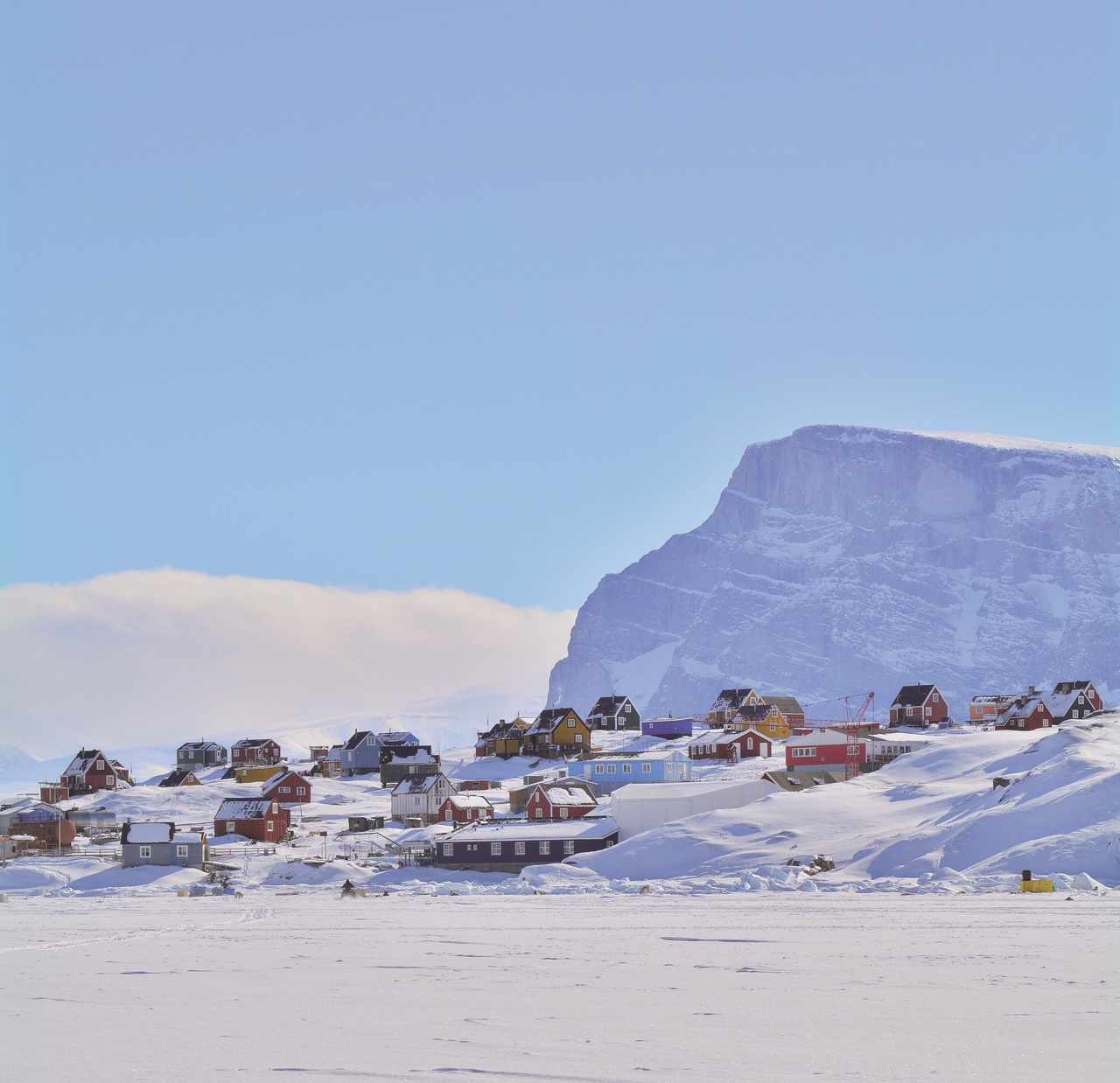 덴마크는 왜 그린란드를 쉽게 놓지 못하는가!