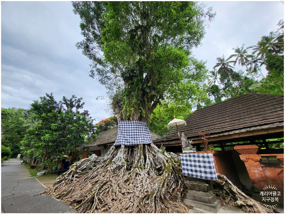 티르타 엠풀 사원(Tirta Empul Temple)