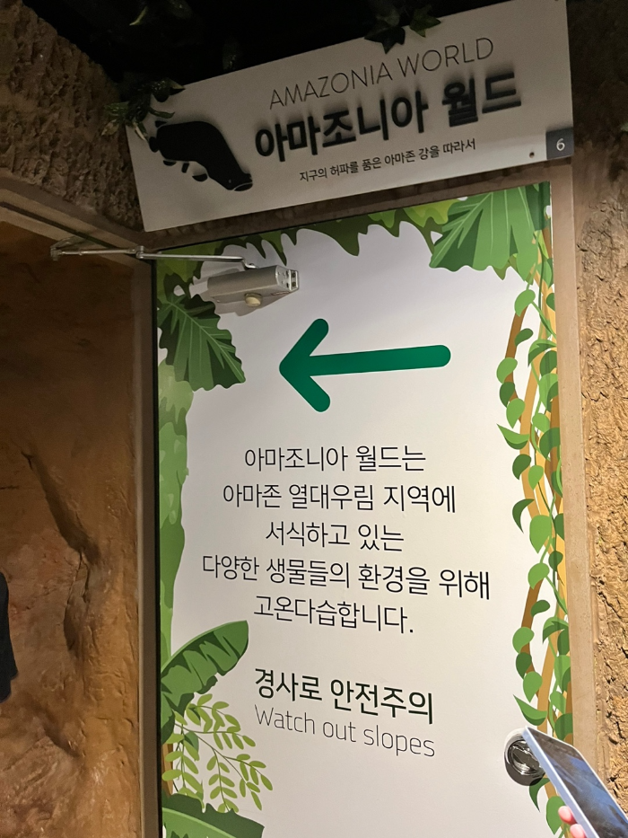 분위기 바뀌는 아마조니아 월드