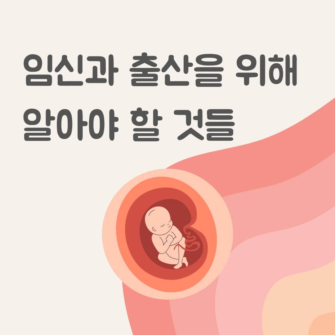 임신과 출산을 위해 알아야 할 것들