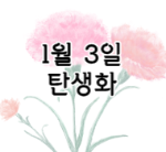 이 이미지는 클릭하시면 1월 3일 탄생화에 관한 포스팅으로 이동되는 이미지입니다.