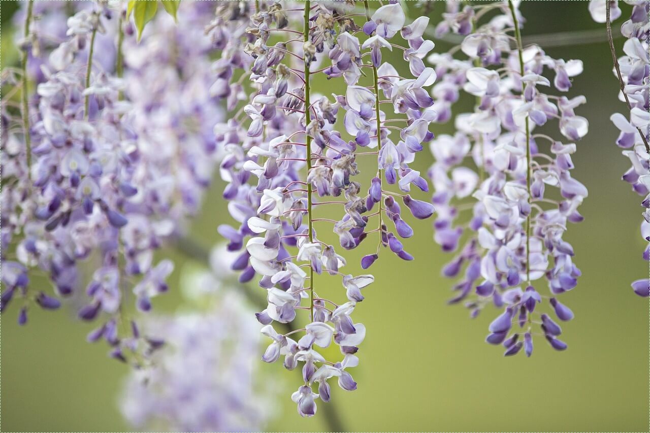 그랜저 gn7 하이브리드