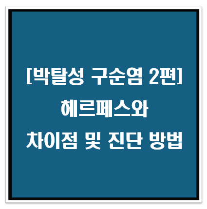 [박탈성 구순염 2편] 헤르페스와 차이점 및 진단 방법