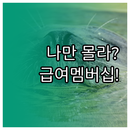 맞춤형 급여 안내 복지멤버십 자격 요..