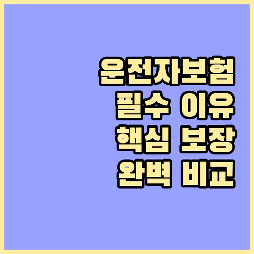 운전자보험, 왜 중요할까? 핵심 보장..