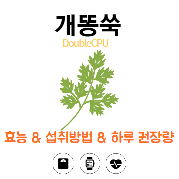 개똥쑥