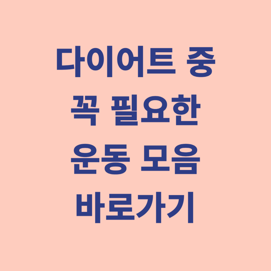 운동 모음