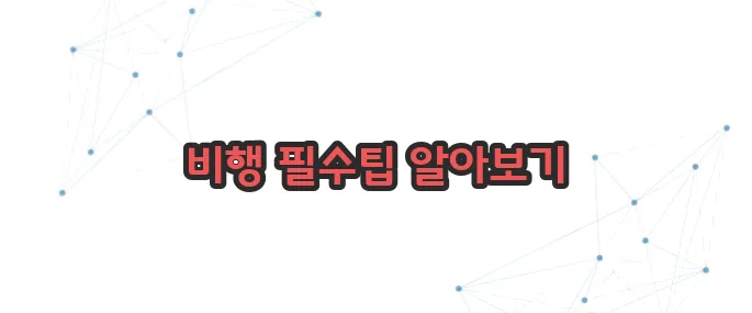 기내 수화물 규정 이보다 자세히 설명할순없다