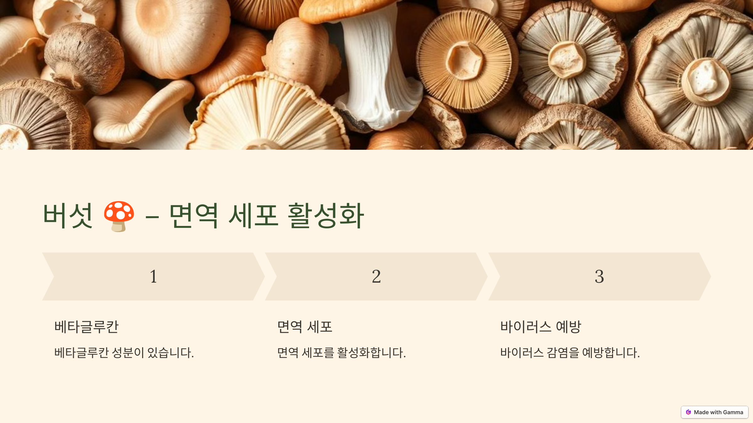 면역력 높이는 음식 BEST 10