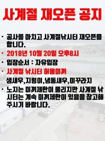 낚시터 계절별 전략 여름 장마철 가을 낙엽철 겨울 한파철_12