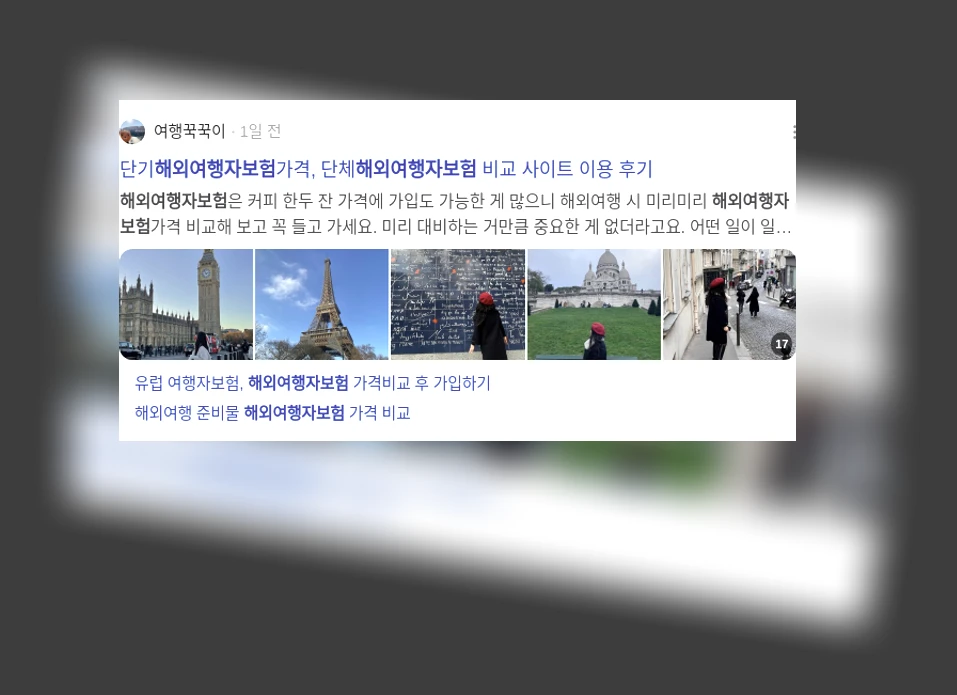해외 여행자 보험_3_subsection