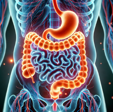 건강한 장 사진