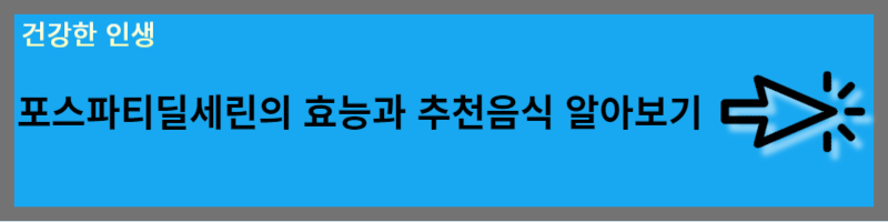 뇌건강